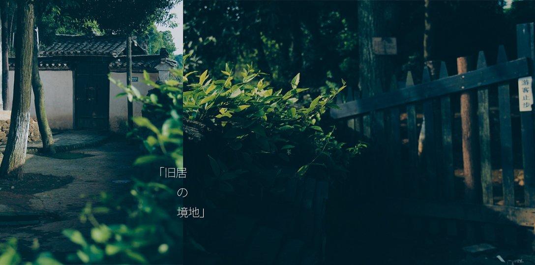 刘垓子镇构建乡村人才“引育用留”机制