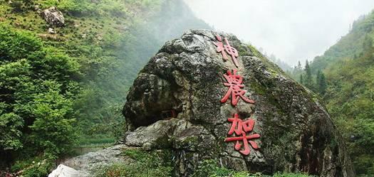 救援淘气的小狗